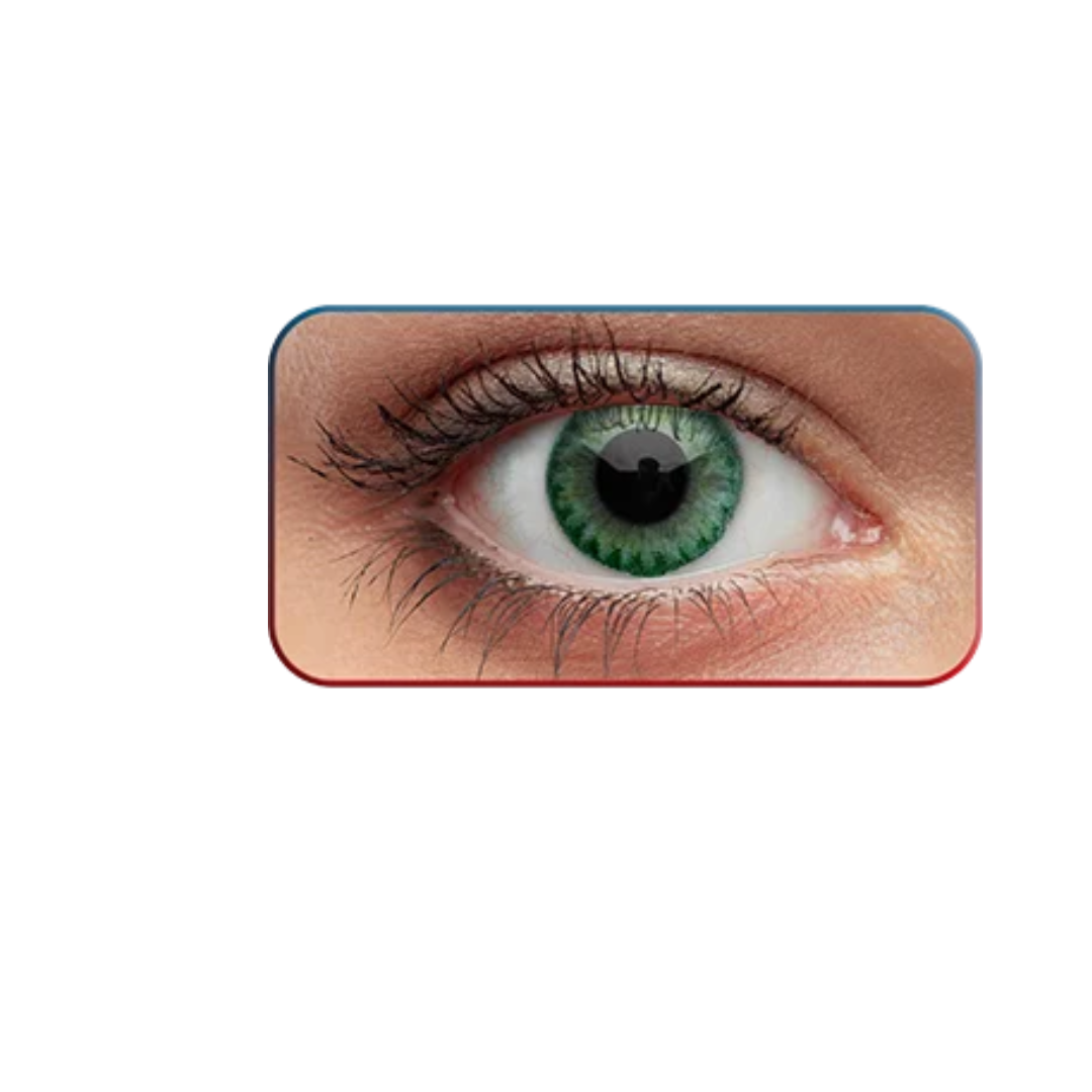 Ivalens Monthly Color Contact lens-(Green) - Image 8
