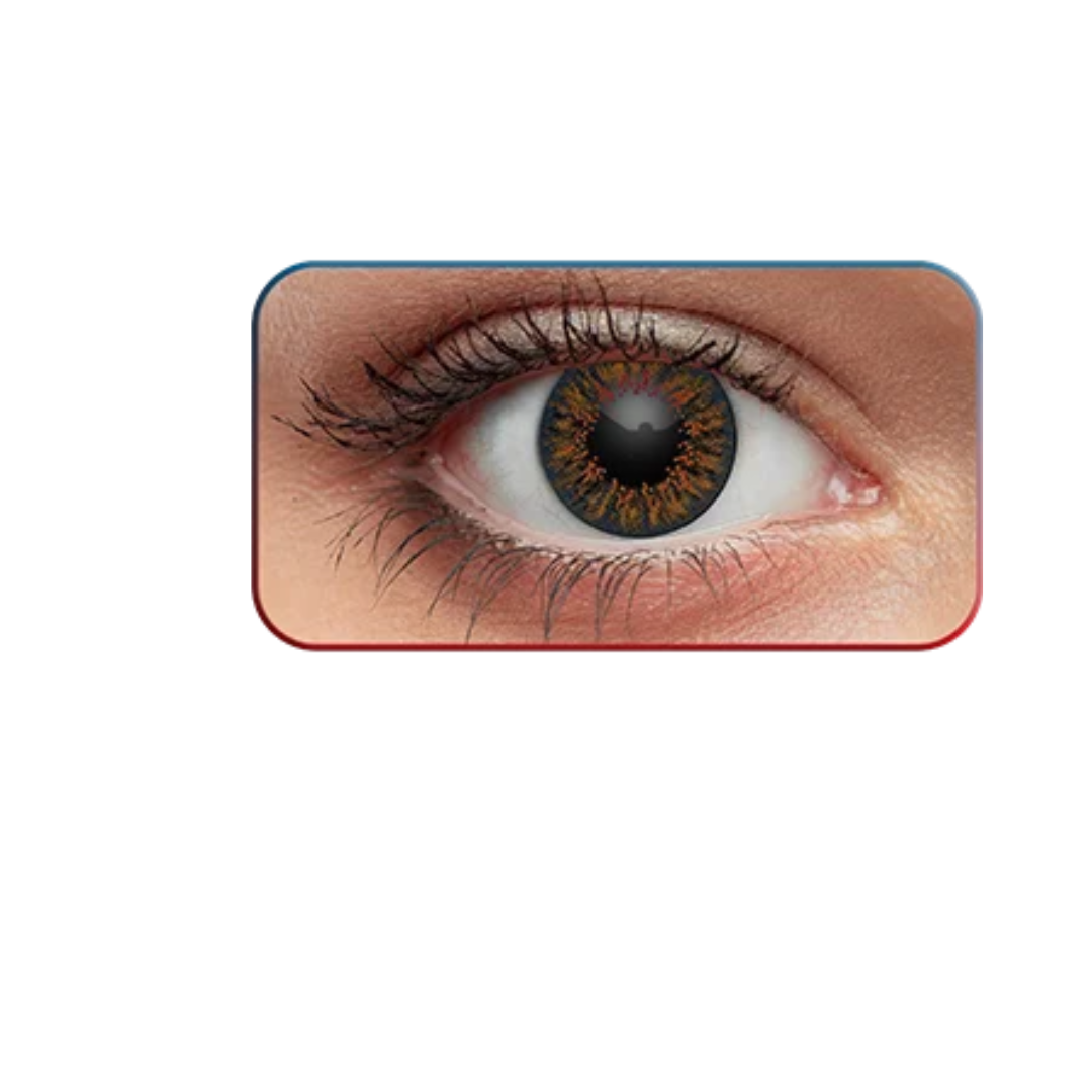Ivalens Monthly Color Contact lens-(Honey) - Image 8